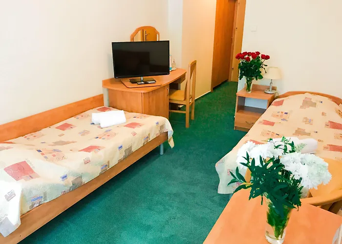 Albatros Medical リゾート ミエルノ